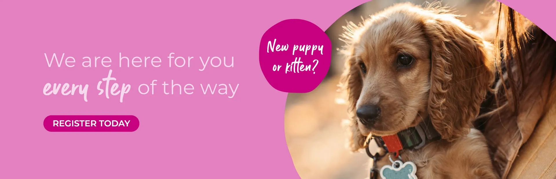 Vets in St Boswells | Vets in Jedburgh | Scottish Borders Farm Animal Vets