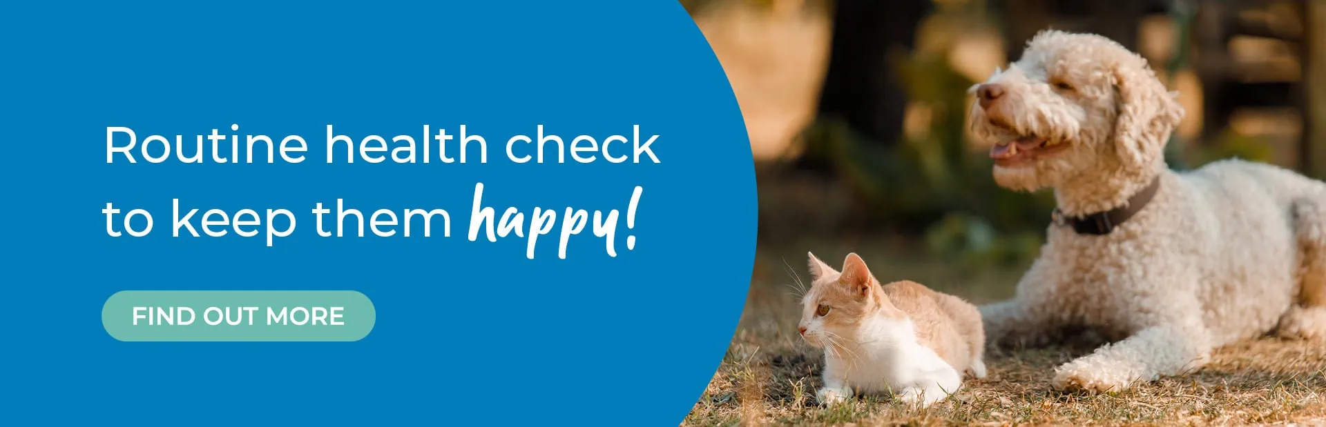 Vets in St Boswells | Vets in Jedburgh | Scottish Borders Farm Animal Vets